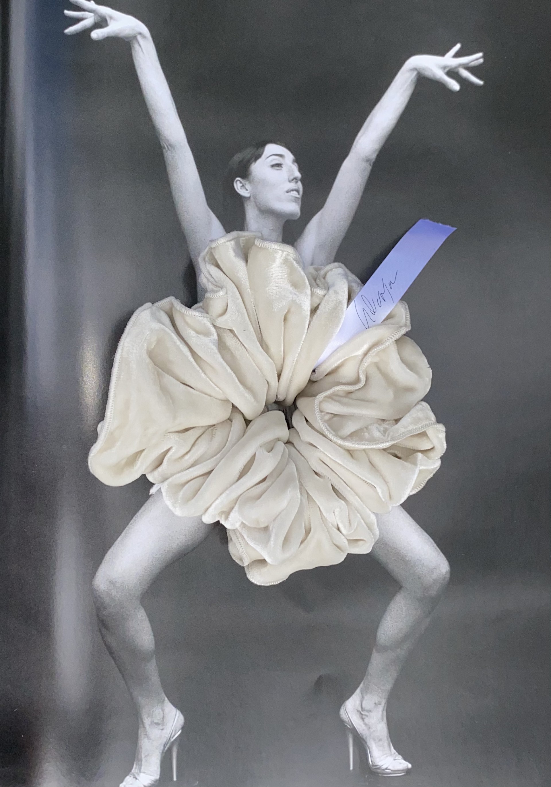 Silk Scrunchie ~ Diamond Velvet